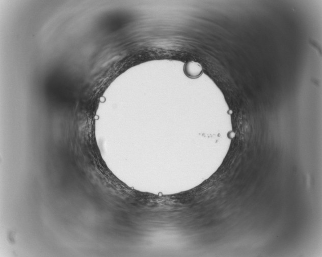 X0000103951061200810031340