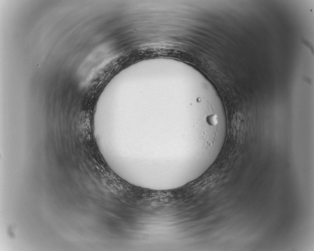 X0000103951062200810031340