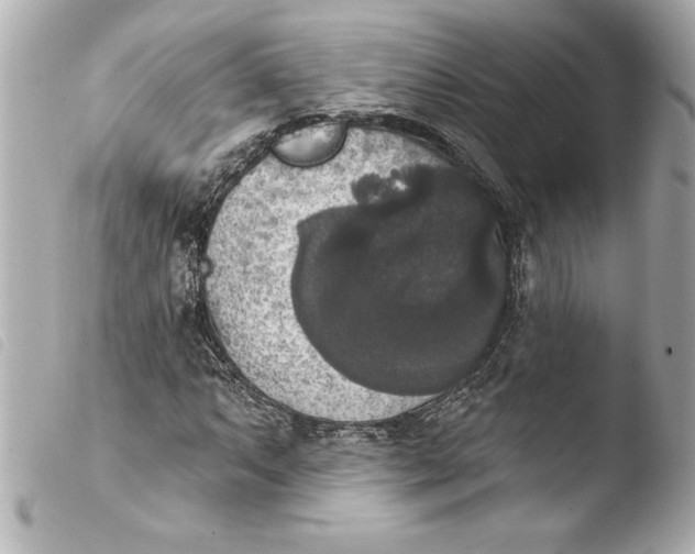 X0000103951063200810031340