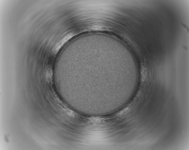 X0000103951065200810031340