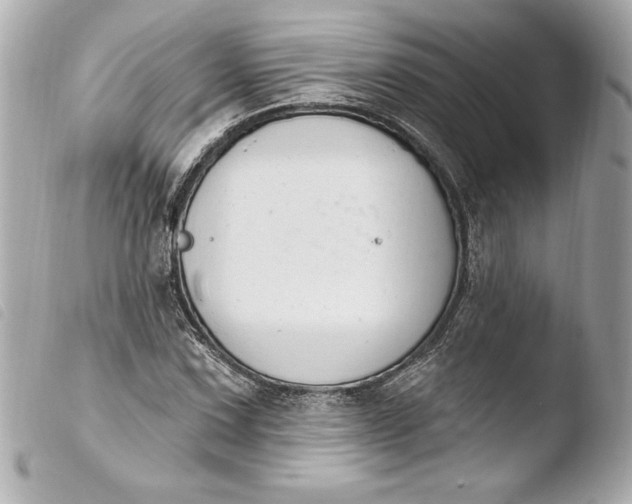 X0000103951067200810031340