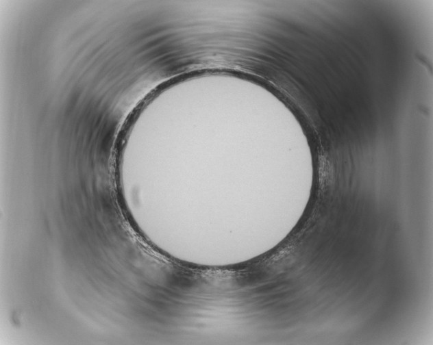 X0000103951068200810031340