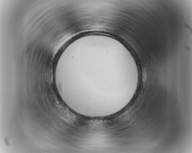 X0000103951069200810031340