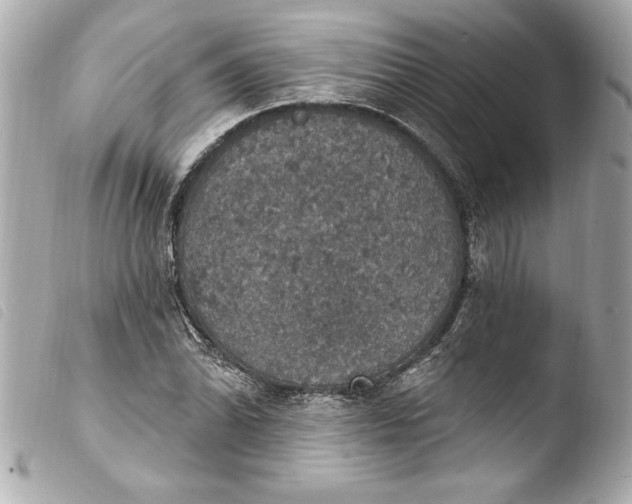 X0000103951070200810031340