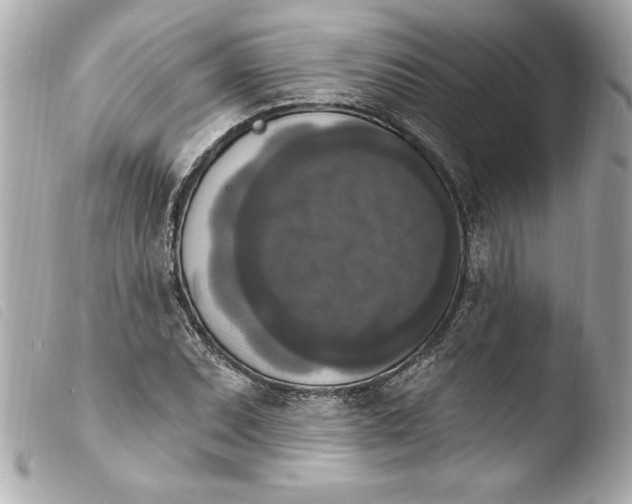 X0000103951071200810031340