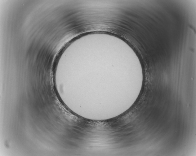 X0000103951072200810031340