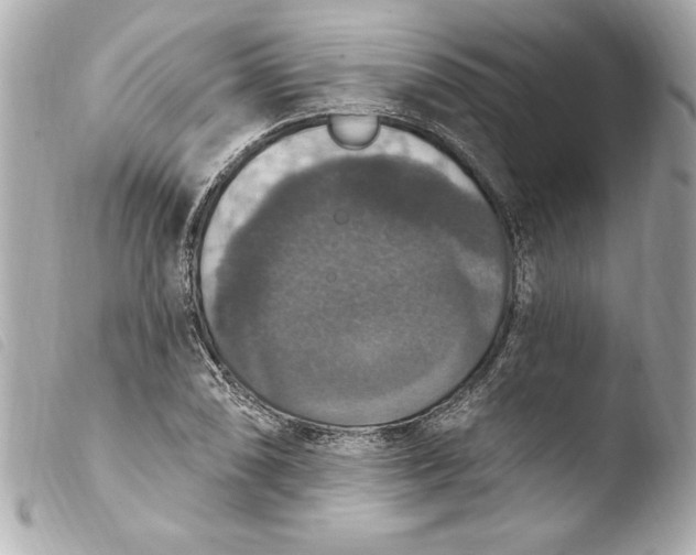 X0000103951074200810031340