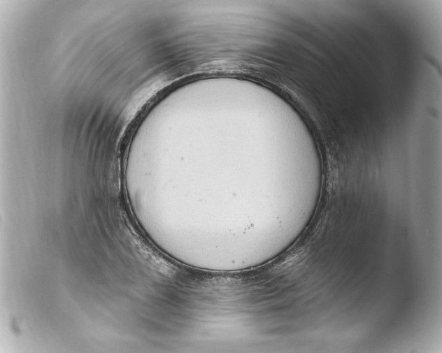 X0000103951075200810031340