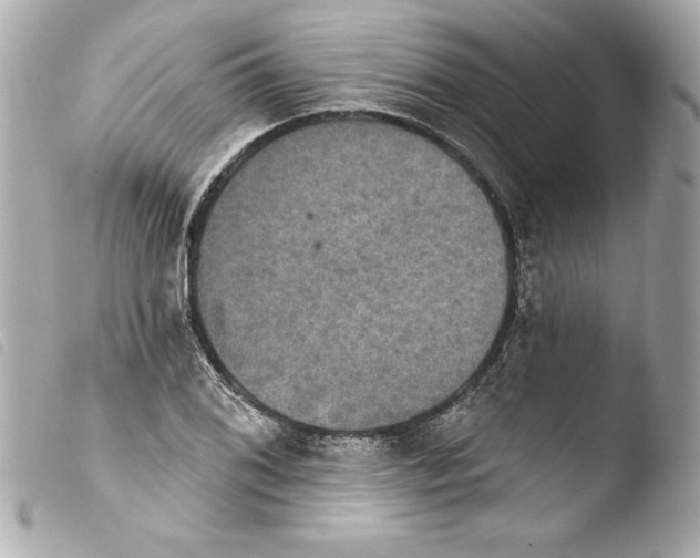 X0000103951076200810031340