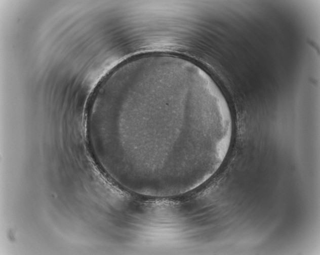 X0000103951077200810031340