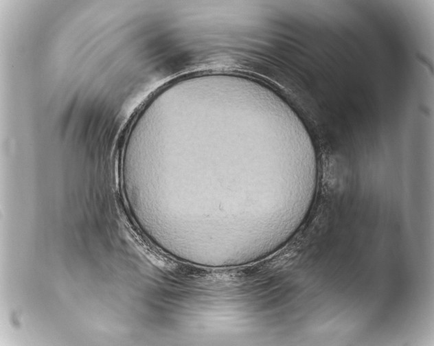 X0000103951078200810031340