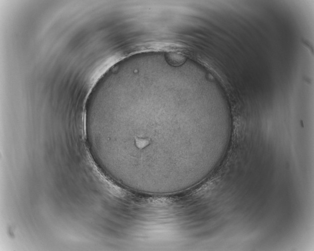 X0000103951079200810031340