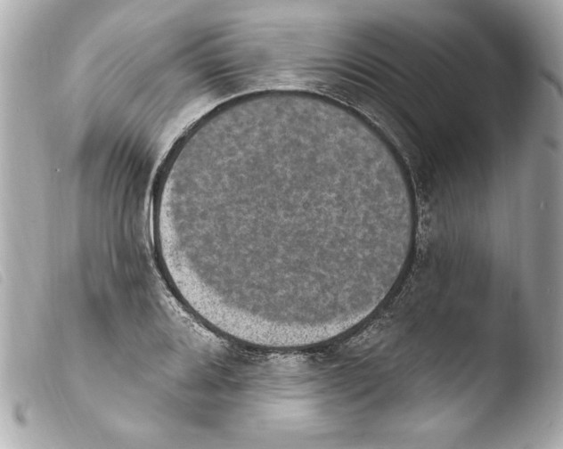 X0000103951080200810031340