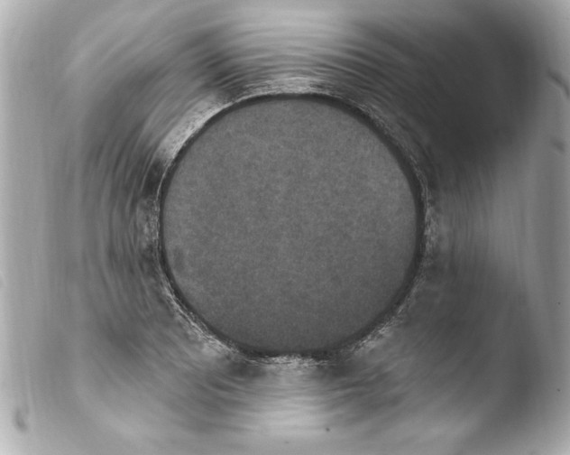 X0000103951081200810031340