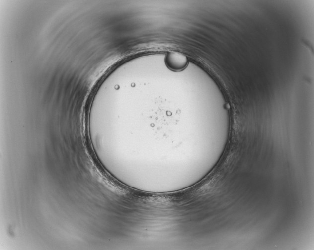 X0000103951082200810031340