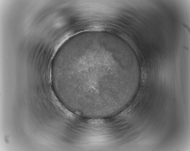 X0000103951083200810031340