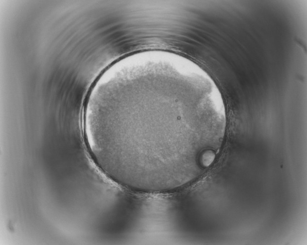 X0000103951084200810031340