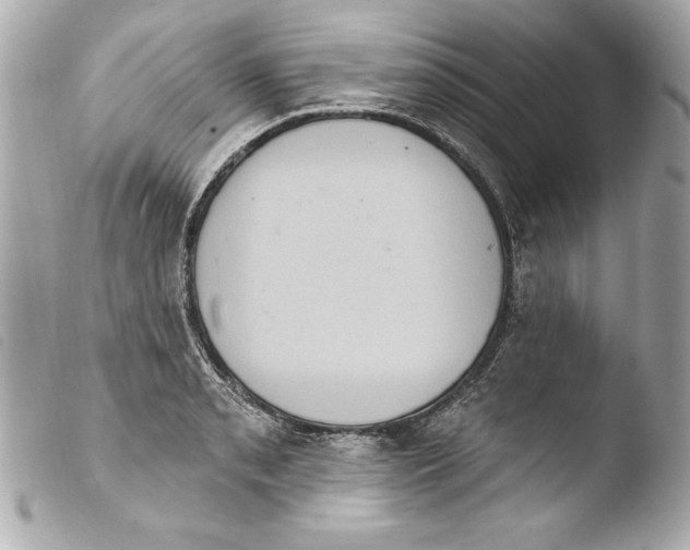 X0000103951085200810031340