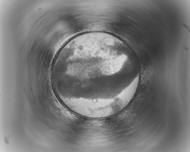 X0000103951086200810031340