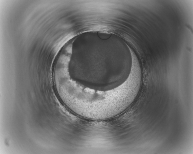 X0000103951087200810031340