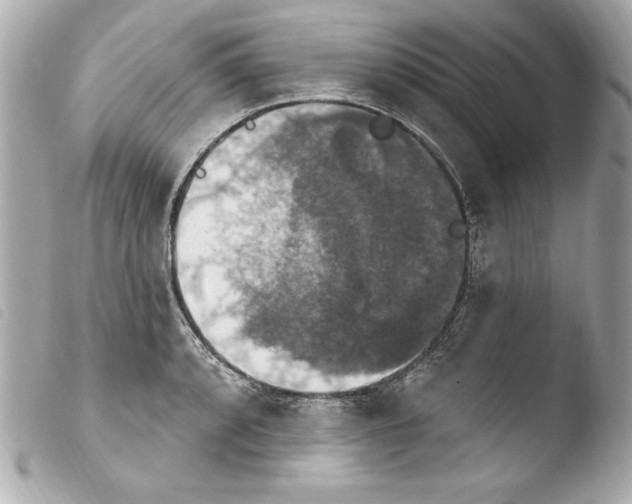 X0000103951088200810031340