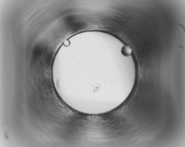 X0000103951089200810031340