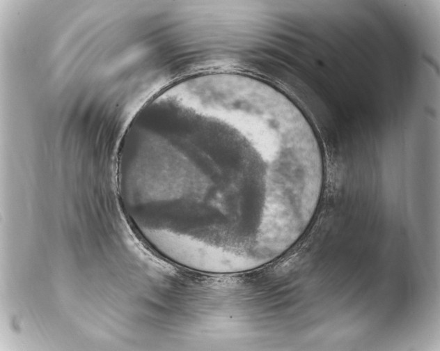 X0000103951090200810031340