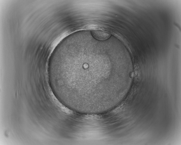 X0000103951091200810031340