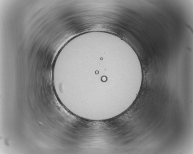 X0000103951092200810031340