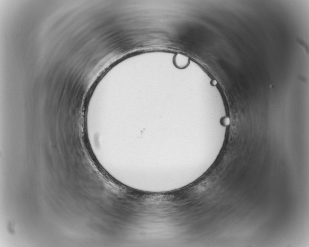 X0000103951093200810031340