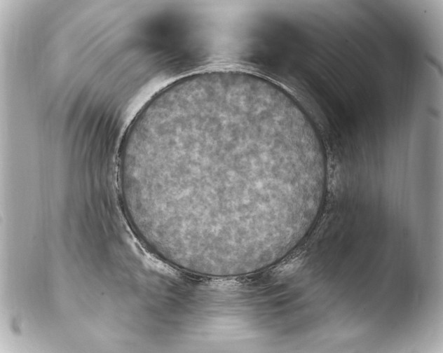 X0000103951094200810031340