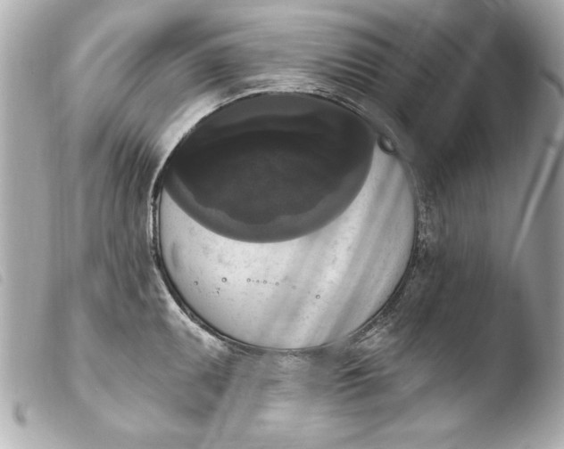 X0000103951095200810031340