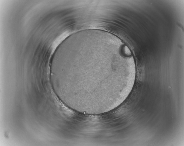 X0000103951096200810031340