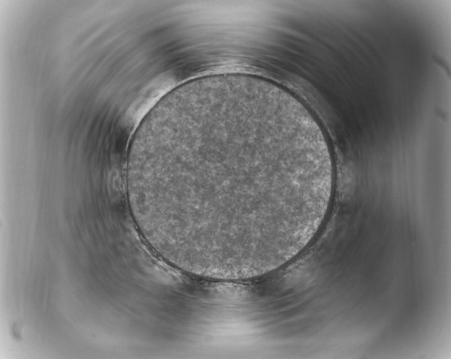 X0000103951097200810031340