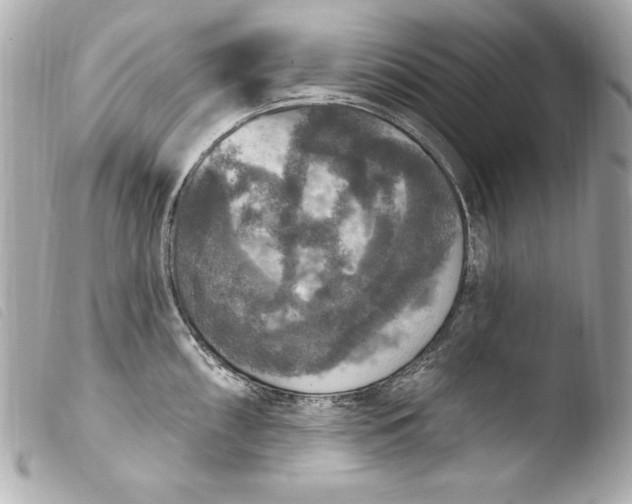 X0000103951098200810031340