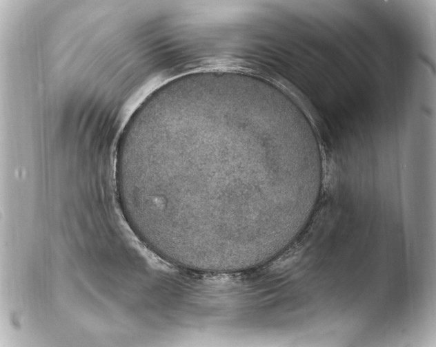 X0000103951099200810031339