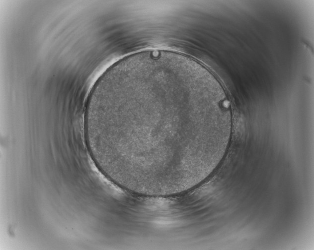 X0000103951100200810031339