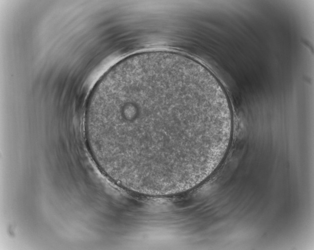 X0000103951101200810031339