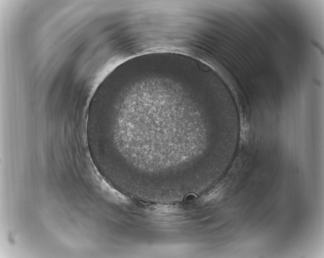 X0000103951102200810031339