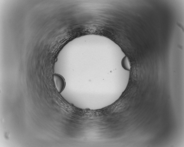 X0000103951105200810031339