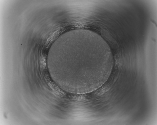 X0000103951106200810031339