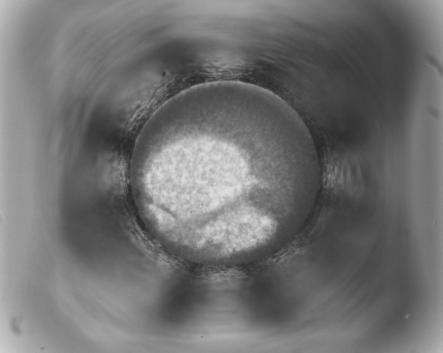 X0000103951108200810031339