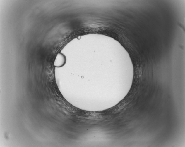 X0000103951109200810031339