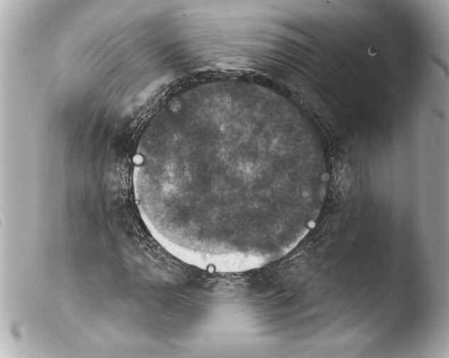 X0000103951110200810031339