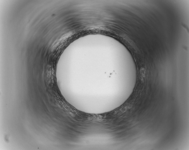 X0000103951111200810031339