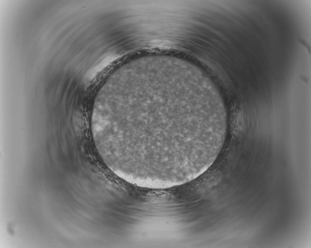 X0000103951112200810031339