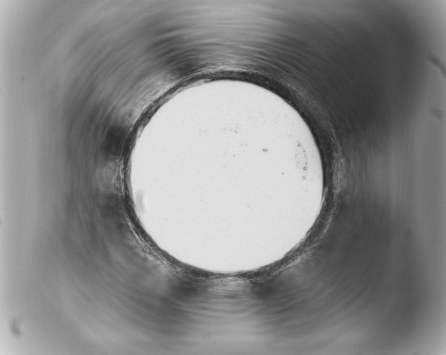 X0000103951113200810031339