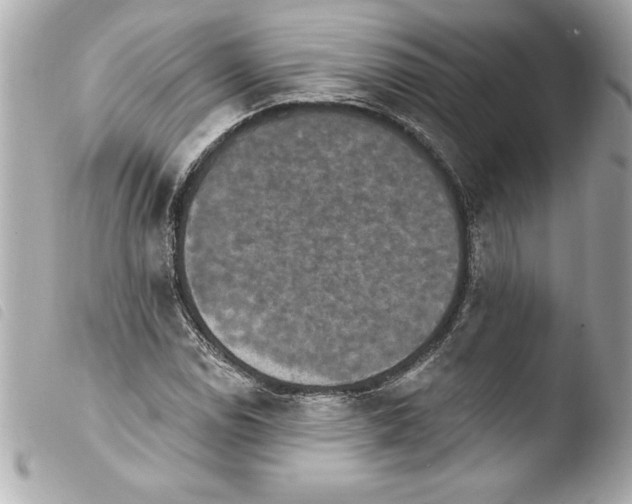 X0000103951114200810031339