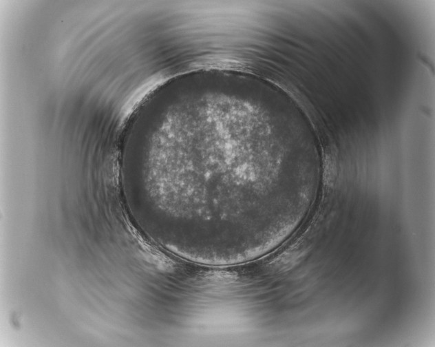 X0000103951115200810031339