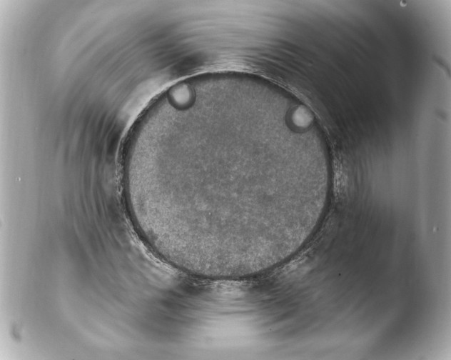 X0000103951116200810031339